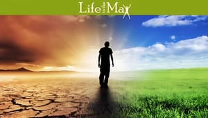 Step 7 - The Test of Discipleship