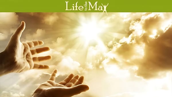 Step 5 - Consecretion